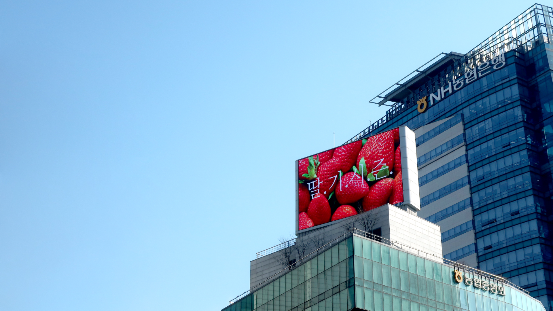 미디어 서비스