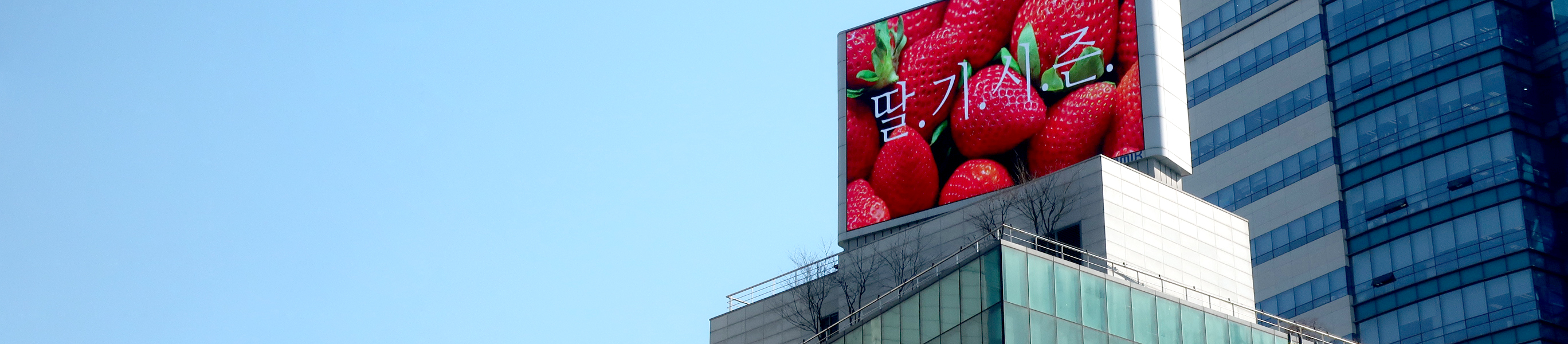 회사소개 상단 이미지